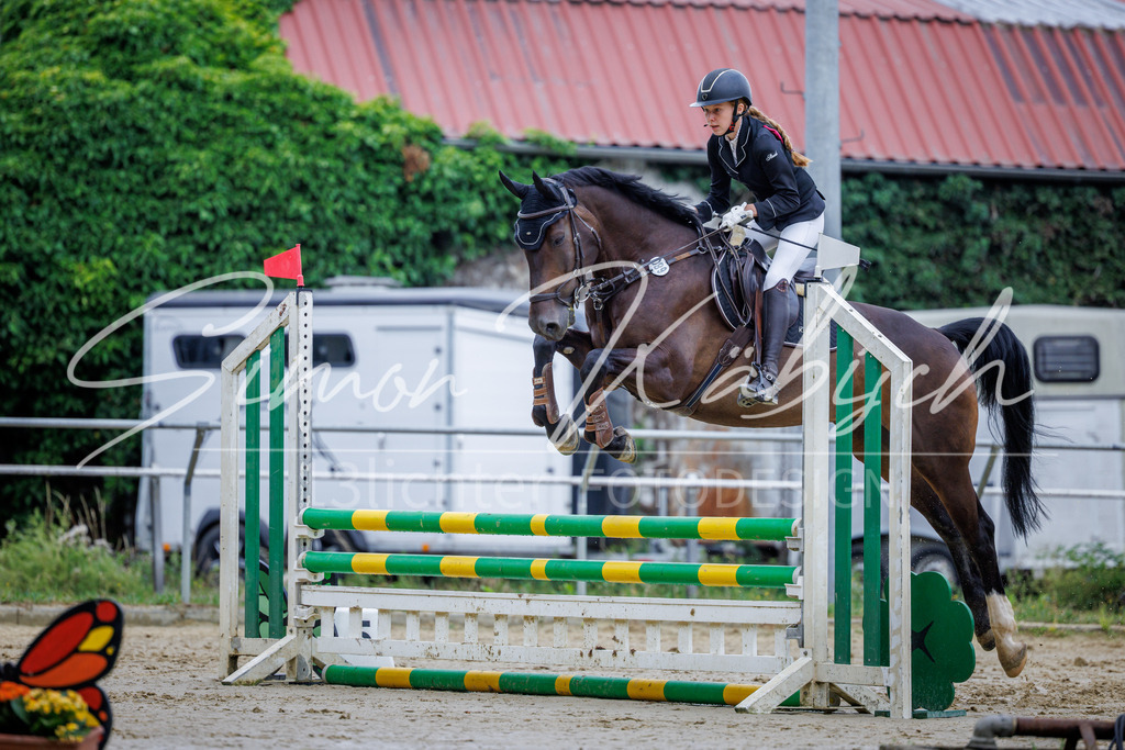 20260705-_3LI3709 | Tierfotografie Pferde, Hunde, Katzen, Haustiere.
Turnierfotografie Reitturniere, Reiten, Springreiten, Dressur in Hanau, dem Main-Kinzig-Kreis und dem Rhein-Main- Gebiet um Frankfurt