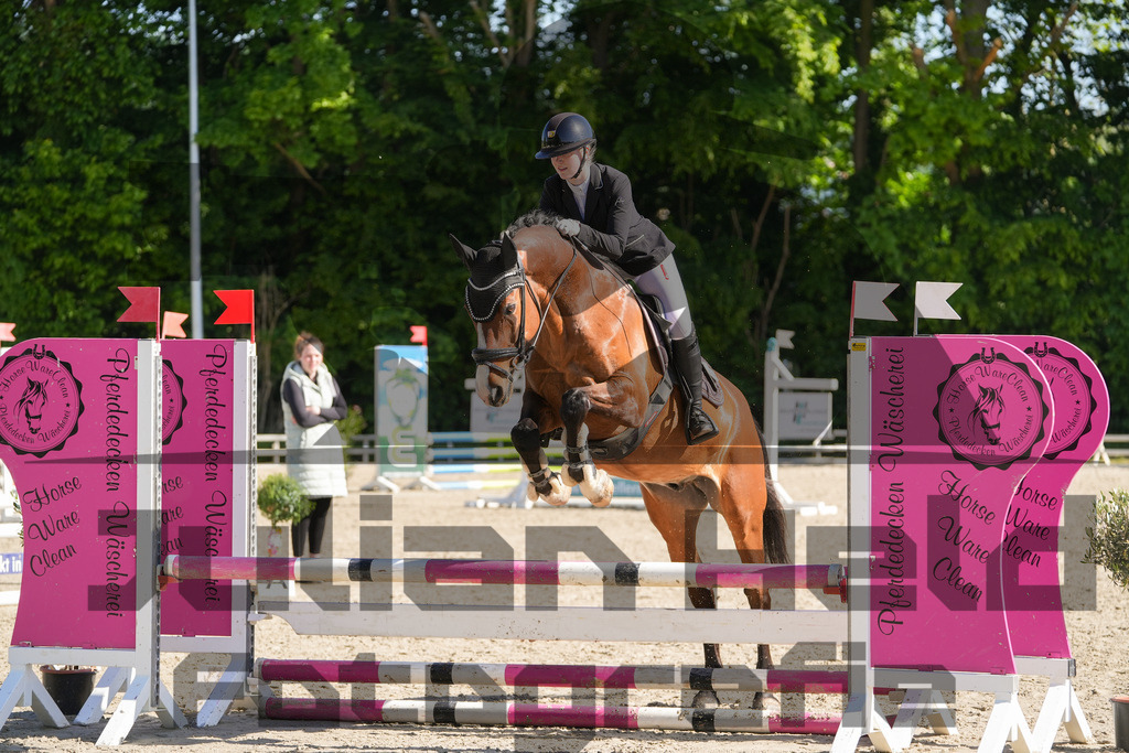 DSC02064 | Julian Held Fotografie - Realisiert mit Pictrs.com