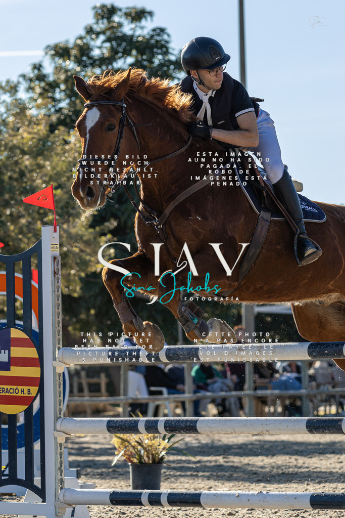 IMG_2102 | s-jay-photography - Realisiert mit Pictrs.com