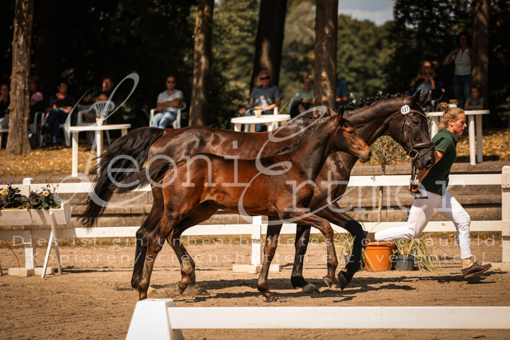 07.DoWBS00054 | Leoni Ertmer Photography - Realisiert mit Pictrs.com