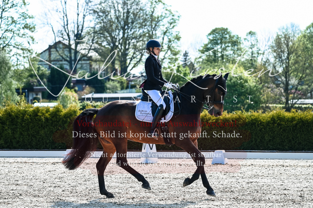 20230513_JK-Röhrsdorf-10-0212 | Pferde- und Turnierfotografie in Westsachsen. Pferdeportraits, Auftragszeichnungen und intuitive Kunst.
