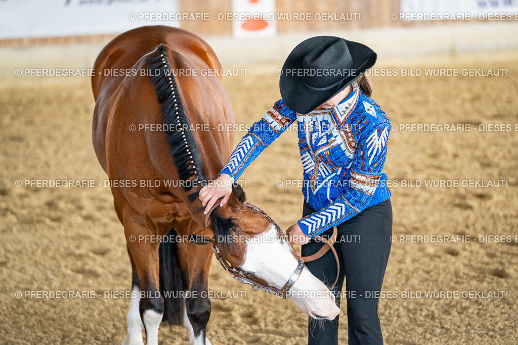 DSC07647 | Pferdegrafie