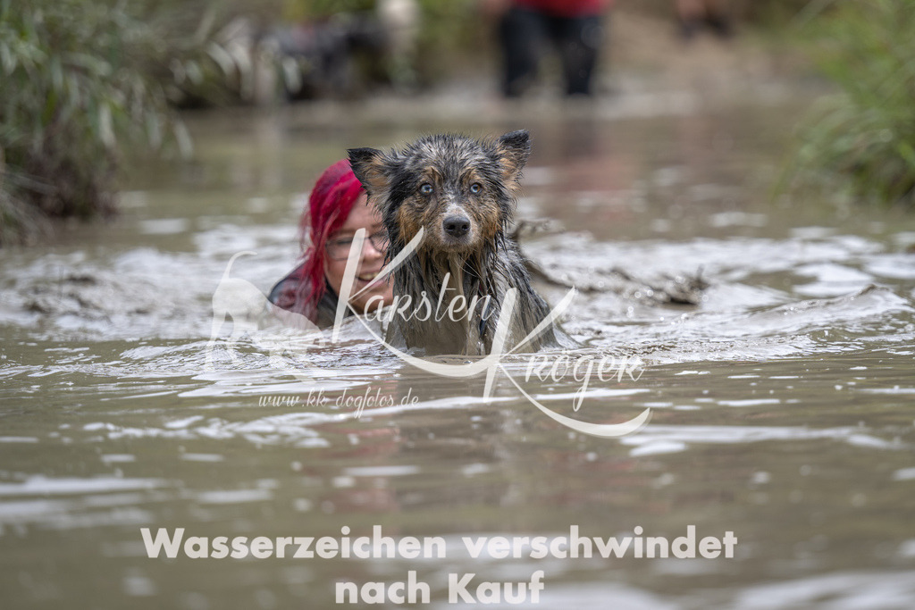 1215_ZZ97749 | kk-dogfotos
