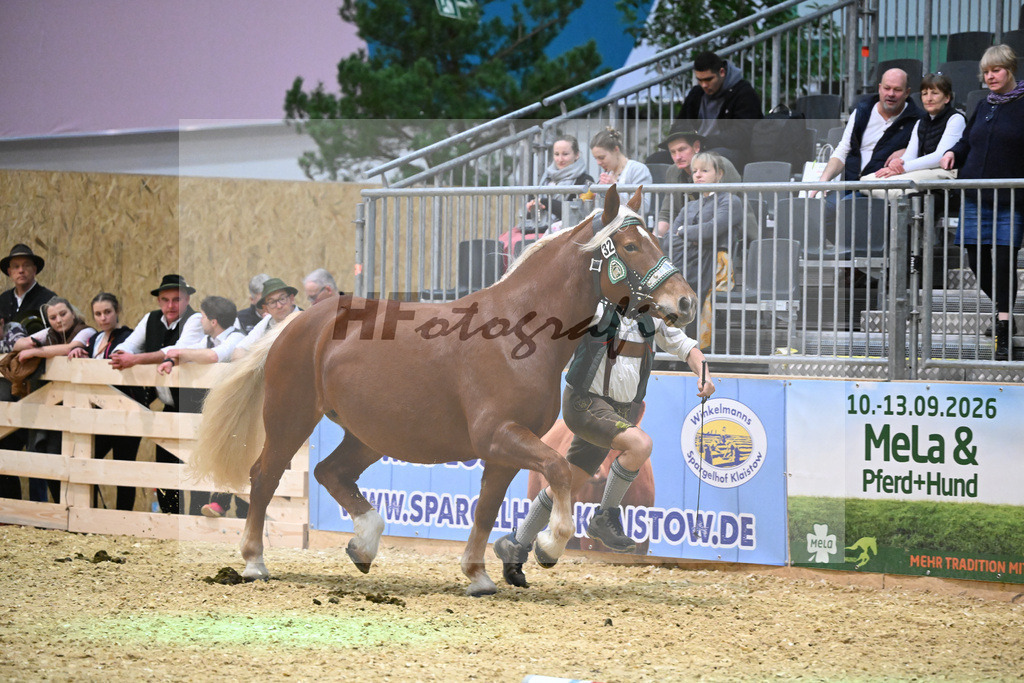 Kat-Nr. 32 Mirabella v. Venberg_Hartl_1260477 | hf-fotografie - Realisiert mit Pictrs.com