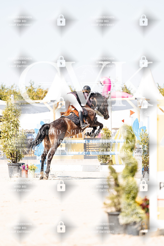CK909427 | Turnierfotografie Pferdefotografie Trier Rheinland-Pfalz Pferdesport Reitsport Tierfotografie Sportfotografie Pferdevideo Pferdevideografie Equestrianvideography equestrianphotography  - Realisiert mit Pictrs.com