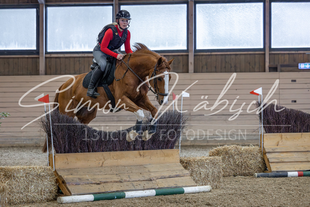 20260221-_3LI9105 | Tierfotografie Pferde, Hunde, Katzen, Haustiere.
Turnierfotografie Reitturniere, Reiten, Springreiten, Dressur in Hanau, dem Main-Kinzig-Kreis und dem Rhein-Main- Gebiet um Frankfurt
