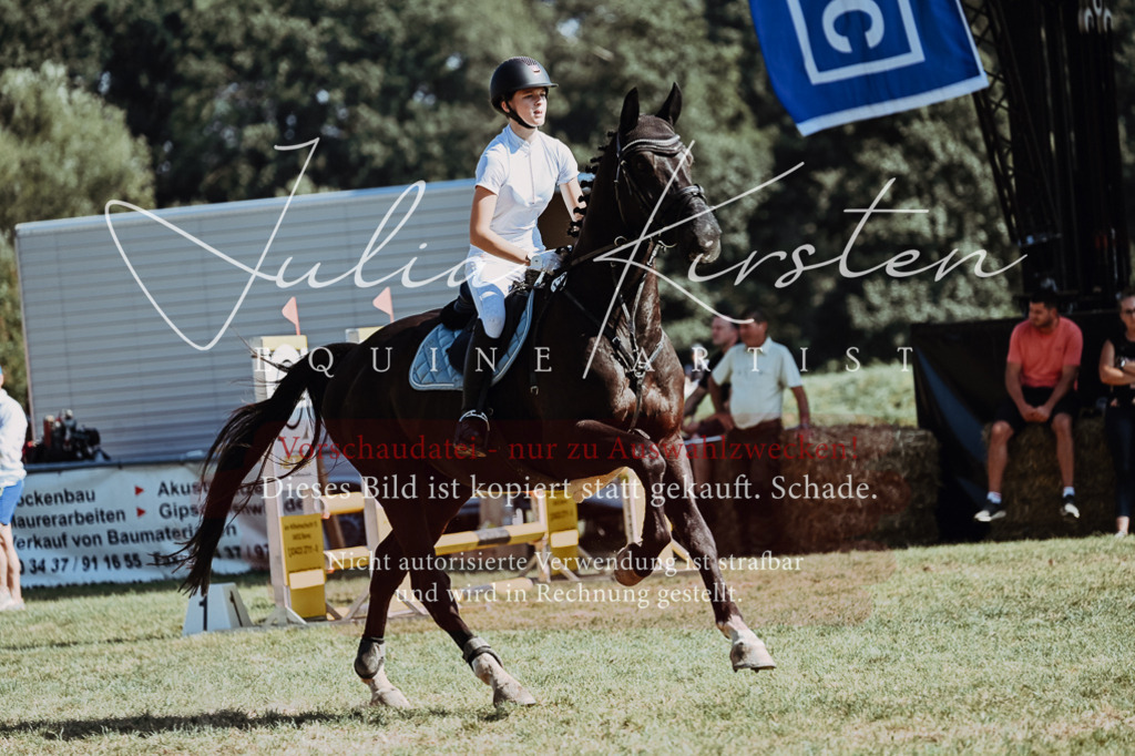 DSC_6681 | Pferde- und Turnierfotografie in Westsachsen. Pferdeportraits, Auftragszeichnungen und intuitive Kunst.
