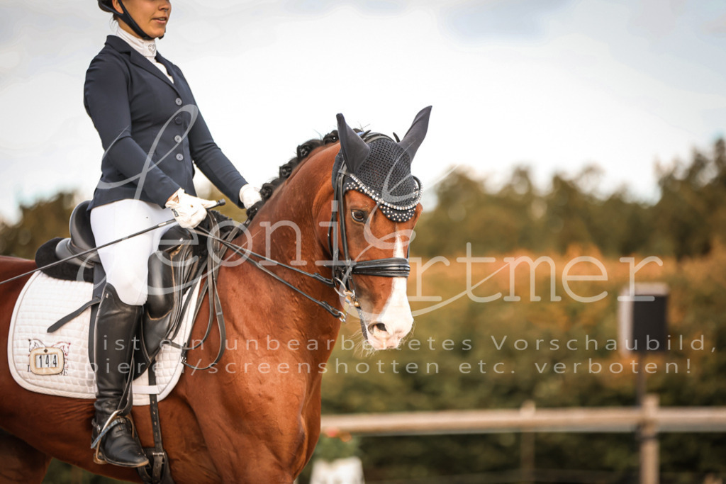 17.SoDrM00253 | Leoni Ertmer Photography - Realisiert mit Pictrs.com