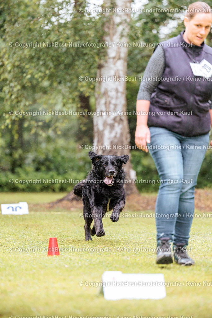 RO-Blumenthal-2026-Nickbest-Hundefotografie-0521 | Dein Hund! Dein Moment! Deine Erinnerungen! Hundefotografie in Bremen Blumenthal. Ich fange die besonderen Momente deines Vierbeiners ein – ob Indoor mit Blitzanlage oder in der freien Natur. Sicher dir dein Moment und dein Termin für eure Erinnerungen.