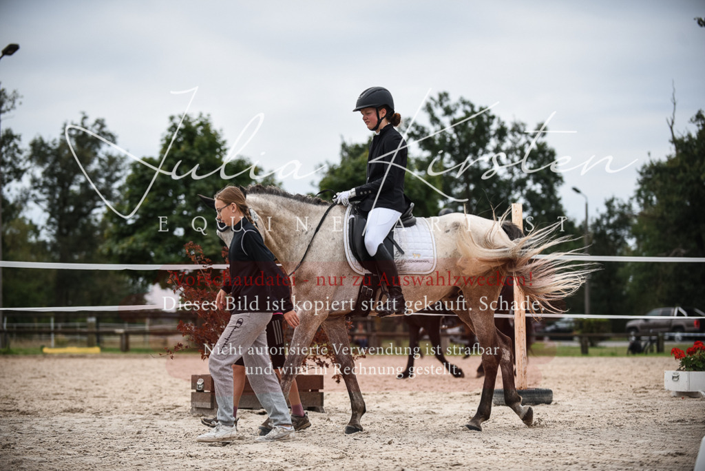 DSC_8243 | Pferde- und Turnierfotografie in Westsachsen. Pferdeportraits, Auftragszeichnungen und intuitive Kunst.