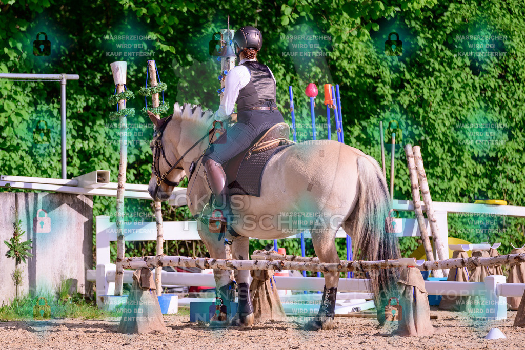 02052026-Giesenbach-03-Speedtrail-0228 | Fokus Hufschlag Fotografie - Realisiert mit Pictrs.com