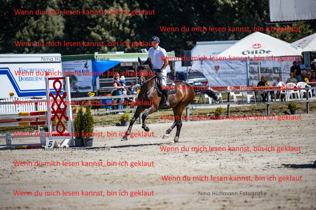 BK1A5414 | Turnierbilder Turnierfotos Nina Hüffmann Turnierfotografie Pferdefotografie Tierzeichnung Haustierzeichnung Pferdezeichnung Hundezeichnung Videograf  - Realisiert mit Pictrs.com