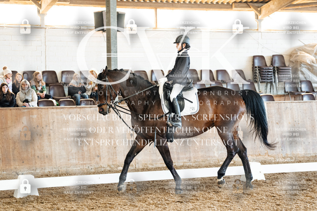 CK900574 | Turnierfotografie Pferdefotografie Trier Rheinland-Pfalz Pferdesport Reitsport Tierfotografie Sportfotografie Pferdevideo Pferdevideografie Equestrianvideography equestrianphotography  - Realisiert mit Pictrs.com