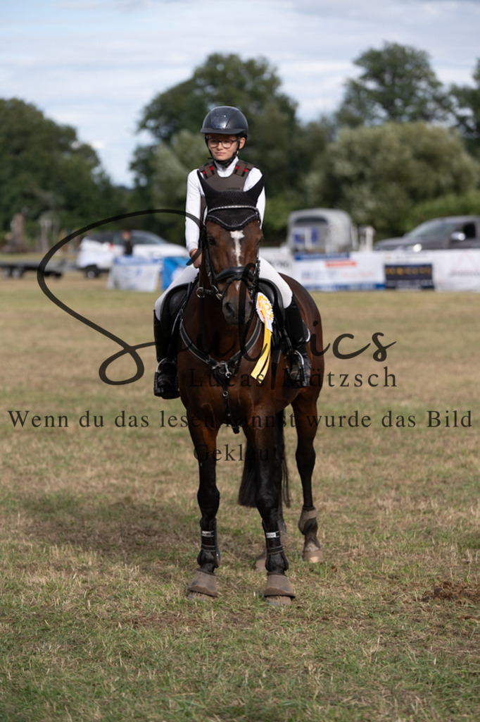 A7V01528 | Pferdefotograf