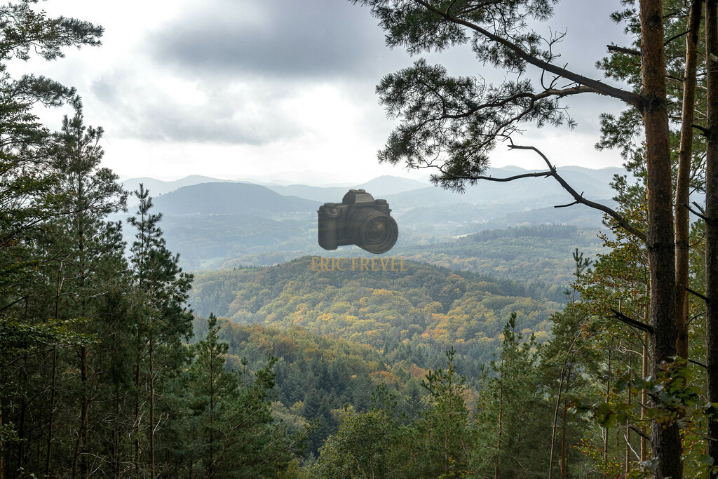 IMG_8235 | Photography by Eric Frevel - Realisiert mit Pictrs.com