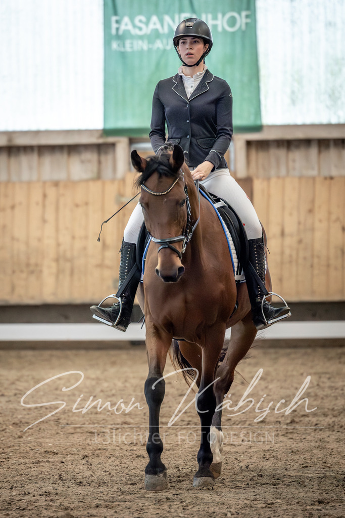 20251011-_3LI6033 | Tierfotografie Pferde, Hunde, Katzen, Haustiere.
Turnierfotografie Reitturniere, Reiten, Springreiten, Dressur in Hanau, dem Main-Kinzig-Kreis und dem Rhein-Main- Gebiet um Frankfurt