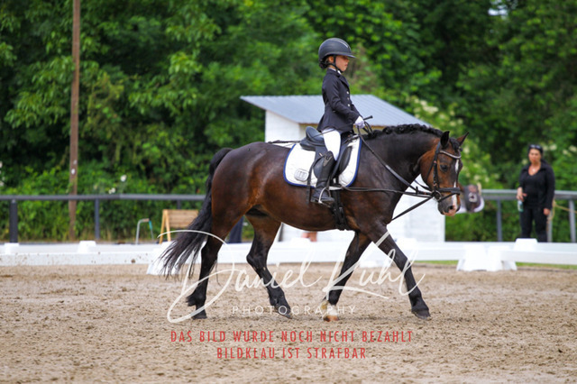 DKP47507 | Turnierfotos kaufen im Webshop von Daniel Kuhl Photography – entdecke professionelle Reitsportfotos aus Turnieren & Events. Hochwertige Turnierbilder online bestellen & sichern. Jetzt Fotos von Reitsportturnieren kaufen!