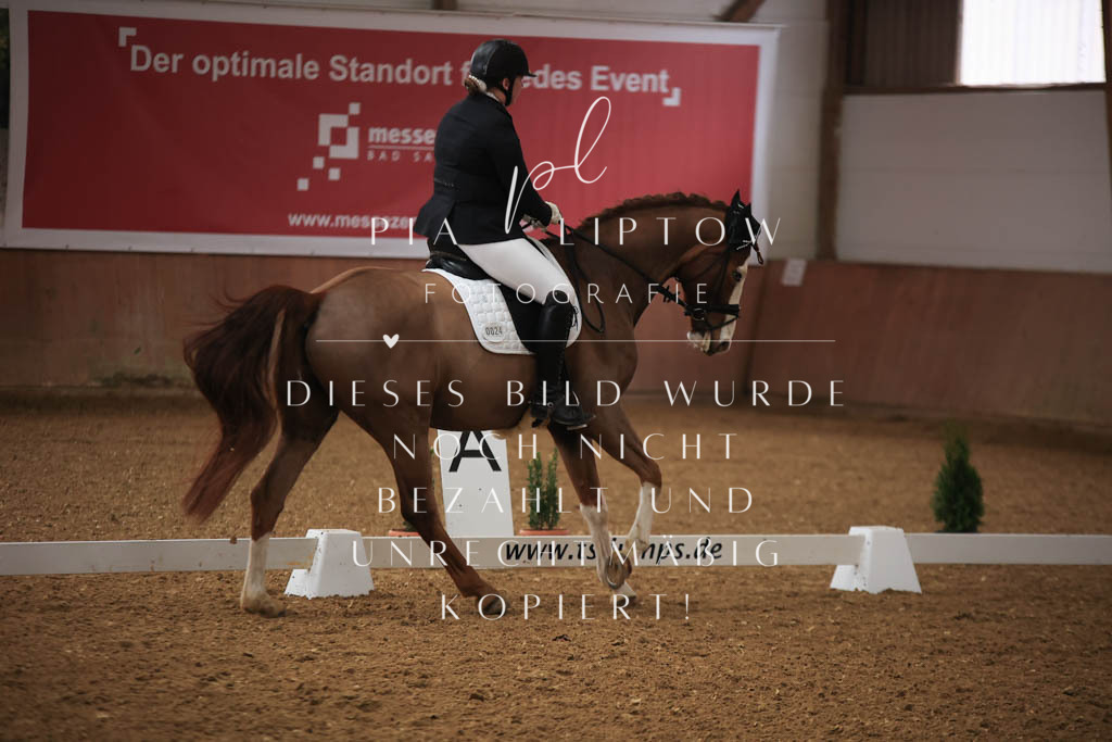 IMGT8890 | pl-fotografie