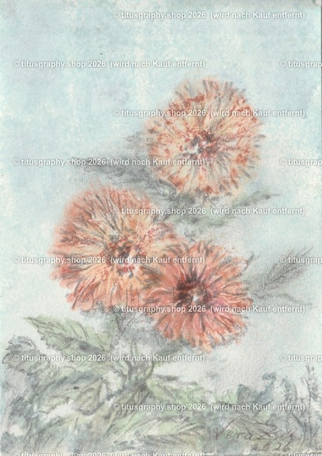 Asterngruß Variation 40 | Zeichnung von Vera Zschecked exclusiv auf titusgraphy.eu - Realisiert mit Pictrs.com