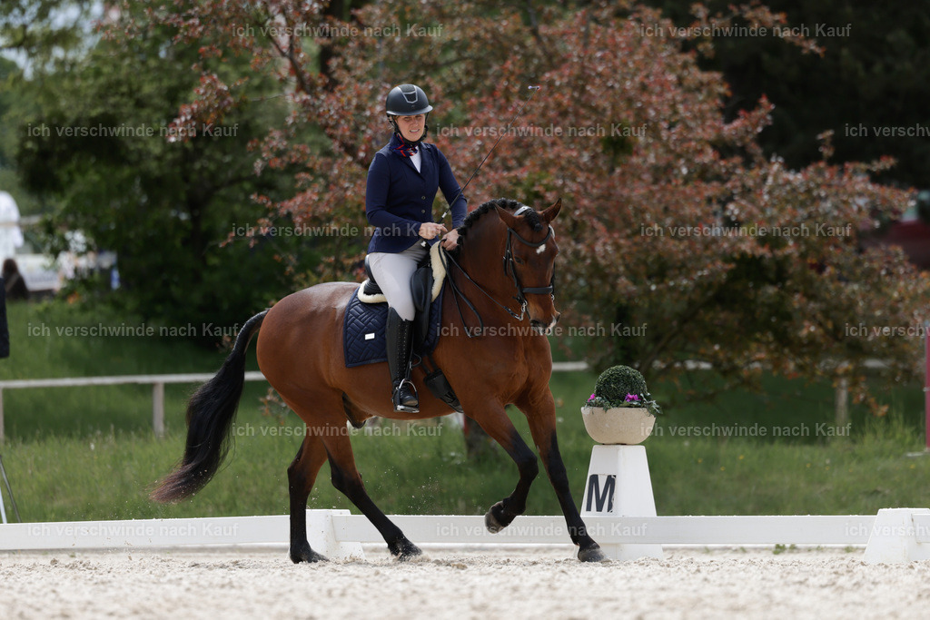 PI26_DR_758_Stoibphotography_AM10261.jpg | working equitationturnier fotograf videograf stoibphotography marixx film working equitation deutschland reitsport turnierfotografie eventfotografie equestrian events