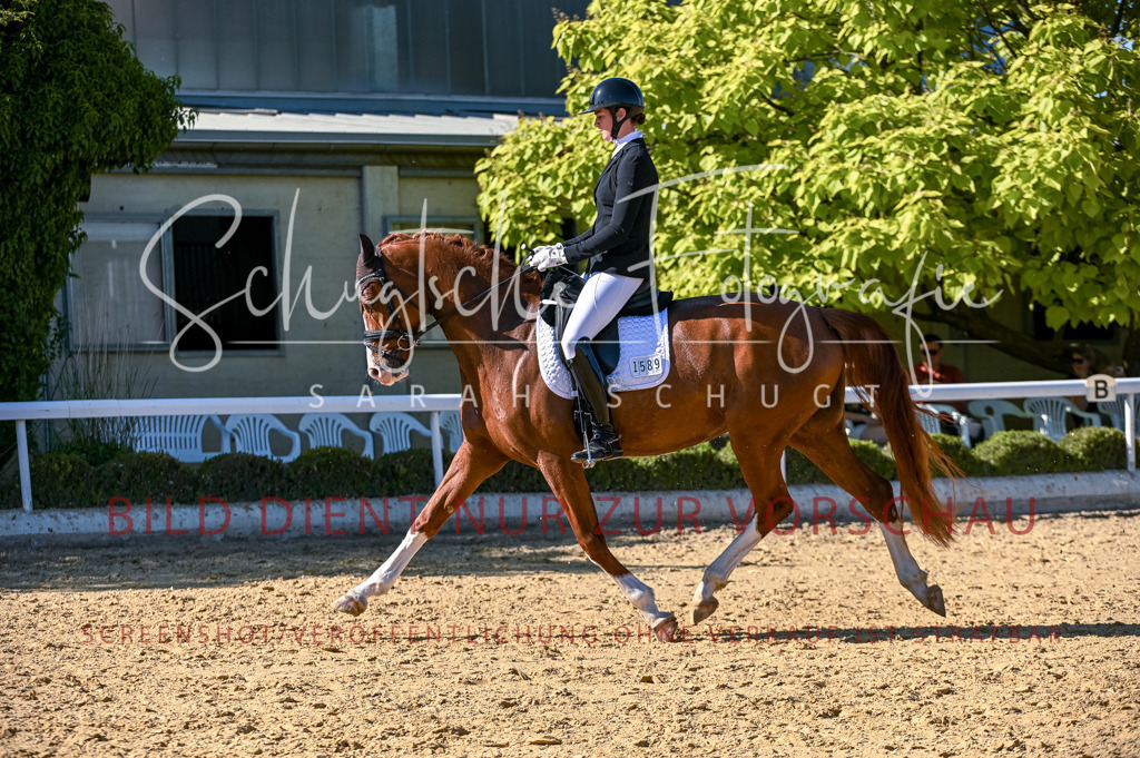 Schugtsche-Aluta25-50.Dressurpferdeprf.L-282 | Schugtsche Fotografie - Realisiert mit Pictrs.com