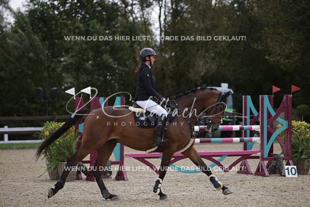 1J2A1816Sophie Kessel_ Universe 10_ Kn954_ Havekost | Foto- und Videografie für alles rund ums Pferd. Hochwertige Bilder und Videos vom Spring- und Dressurreiten, Voltigieren & mehr. Jetzt aktuelle Veranstaltungen und Preise im Shop ansehen. - Realisiert mit Pictrs.com