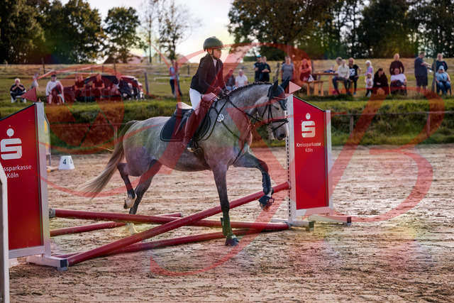 2026_10_03_Siefer-Hof_145054_Z81_29124989 | Professionelle Reitsport-, Turnier- und Eventfotografie von Robert Broda. Galerien mit ausgewählten und bearbeiteten Bildern direkt online ansehen und bestellen.