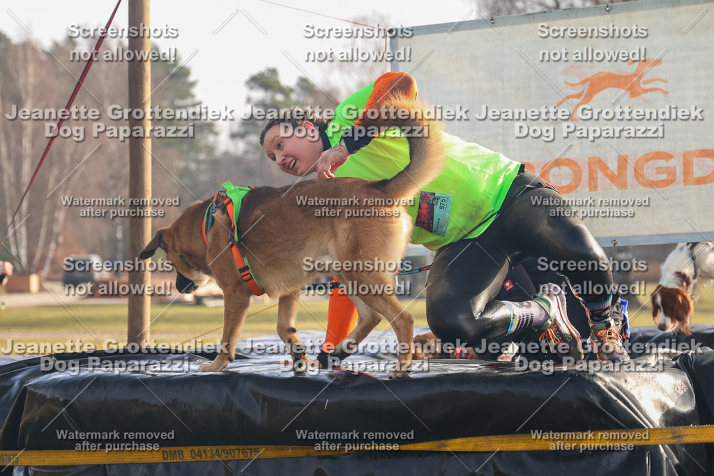 Dog Paparazzi - SD North 0326 900930-216 | Dog Paparazzi Jeanette Grottendiek Fotografie & Videografie - Realisiert mit Pictrs.com