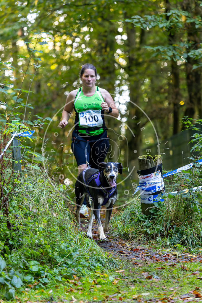 Pfotenfotografie_DV3A7887 | Hundefotografie, Tierfotograf, Pfotenfotografie, Fotoshooting Hund, Hunde Portrait, Hundesport, Hundeportraits, Heideshooting, Hunde, Sportfotograf, Hundefotograf, Turnierhundsport, THS,  - Realisiert mit Pictrs.com
