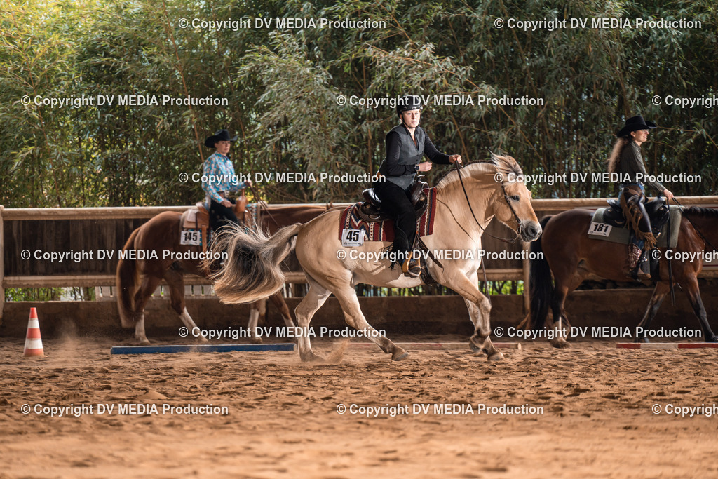 Erbach Tag 2-609 | dv-media-shop - Realisiert mit Pictrs.com