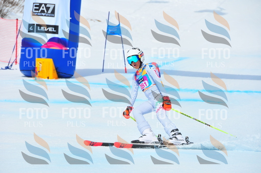 DSC_6365 | holidayphoto