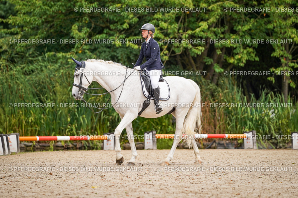 DSC02934 | Pferdegrafie