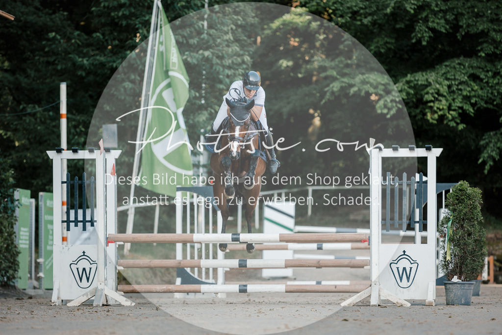 3I6A6059 | Stimmungsvolle Portraits und Reitsportfotografie im Ruhrgebiet und im Münsterland.

Pferdefotografie, Hundefotografie, Tierfotografie, Reportagen, Portraits von Tier und Mensch, Turnierfotografie in Bochum, Recklinghausen, Marl, Haltern am See, Dülmen.. - Realisiert mit Pictrs.com