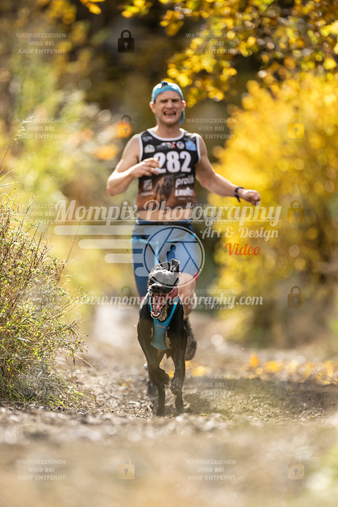 MompixPhotography_ICF_WC_2024_SA_Run_-98 | PayLife
