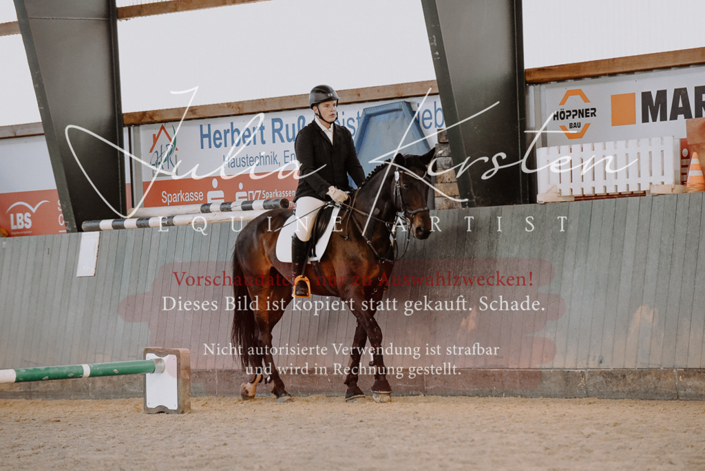 DSC_7437 | Pferde- und Turnierfotografie in Westsachsen. Pferdeportraits, Auftragszeichnungen und intuitive Kunst.