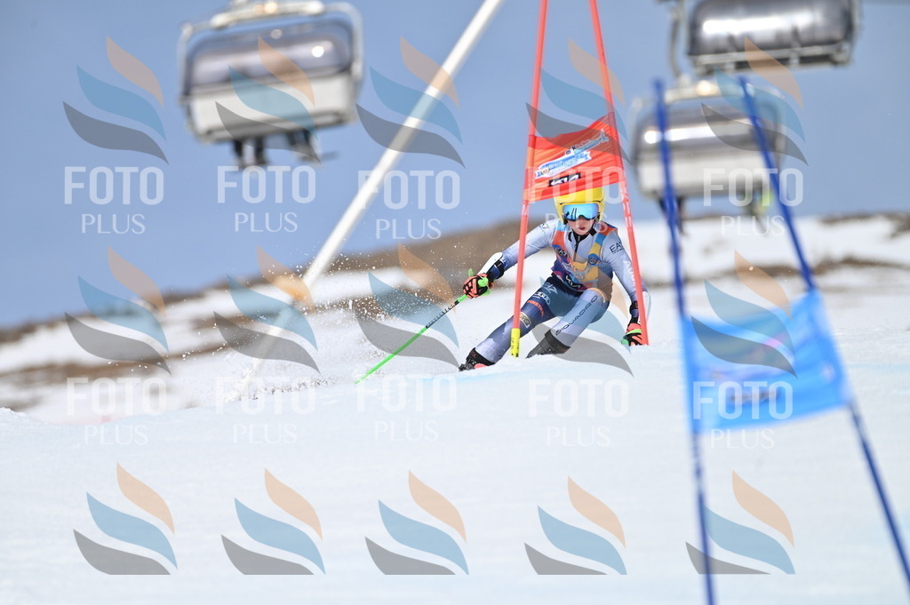 BGV_3926 | holidayphoto