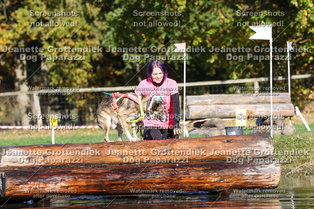 Dog Paparazzi - Strongdog 10-25-8806 | Dog Paparazzi Jeanette Grottendiek Fotografie & Videografie - Realisiert mit Pictrs.com