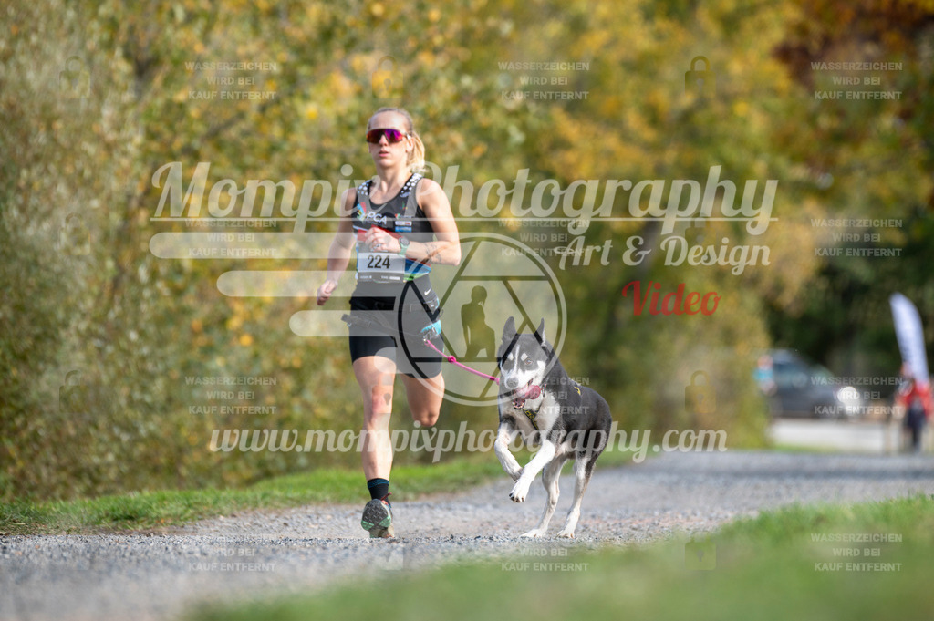 TSB_2023_E2_Canicross-9 | PayLife