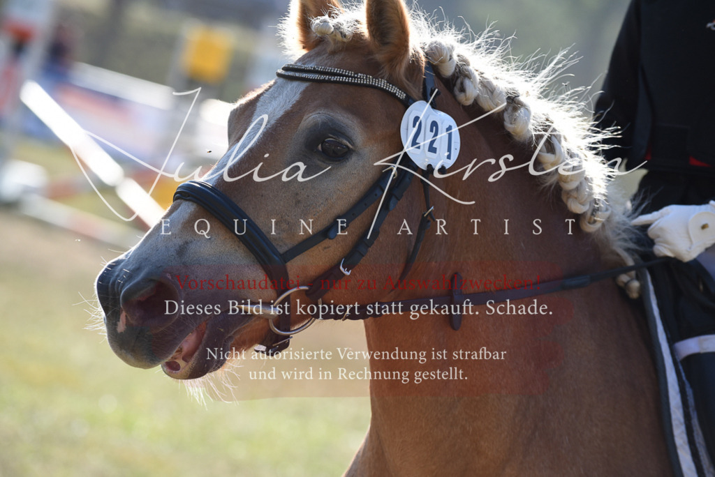 DSC_5793 | Pferde- und Turnierfotografie in Westsachsen. Pferdeportraits, Auftragszeichnungen und intuitive Kunst.