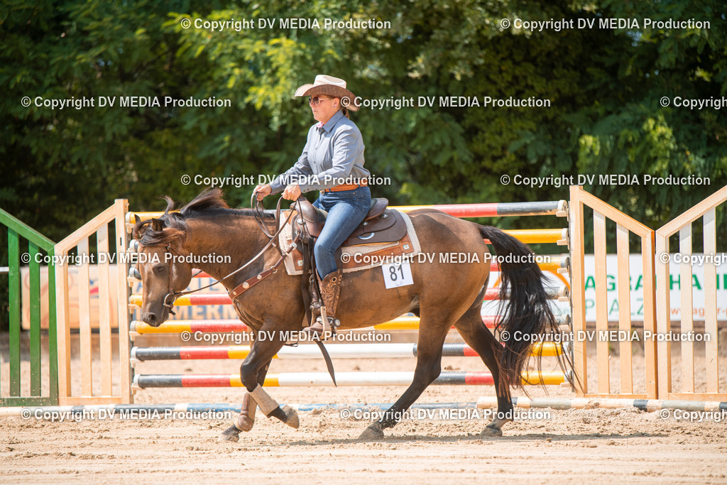 ZS2_8303 | dv-media-shop - Realisiert mit Pictrs.com