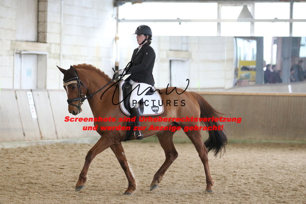 IMG_8207 | lmwpictures - Realisiert mit Pictrs.com