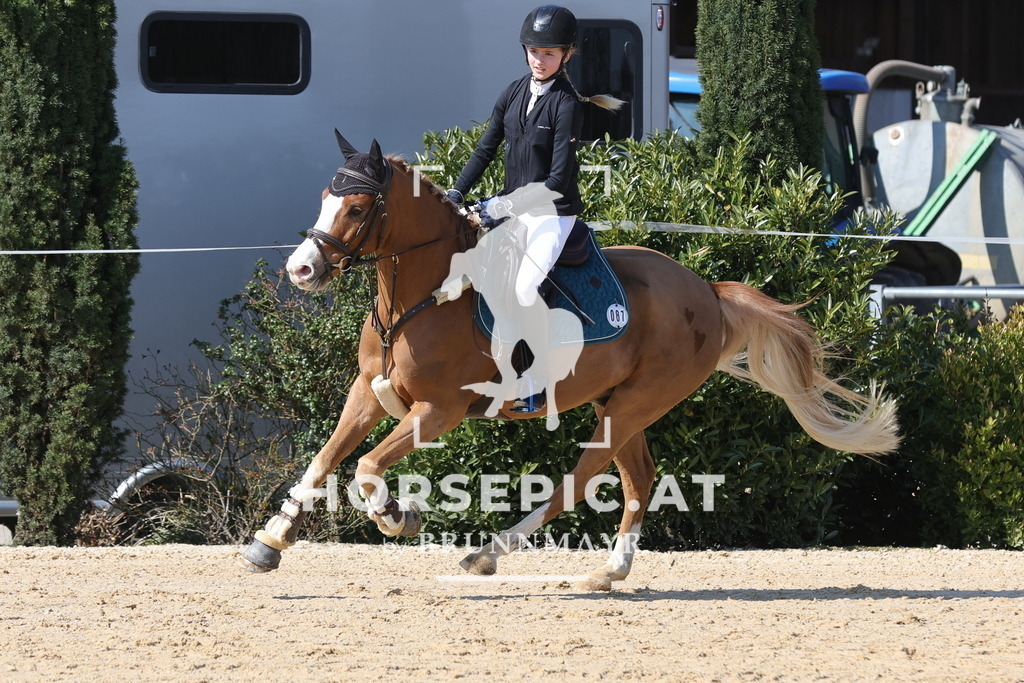 0P6A6601 | Willkommen bei Brunnmayr - Design & Fotografie – Ihrem Spezialisten für Reitturniere und Pferdeveranstaltungen in Oberösterreich, Salzburg und Bayern! Seit über 17 Jahren sind wir leidenschaftlich dabei.