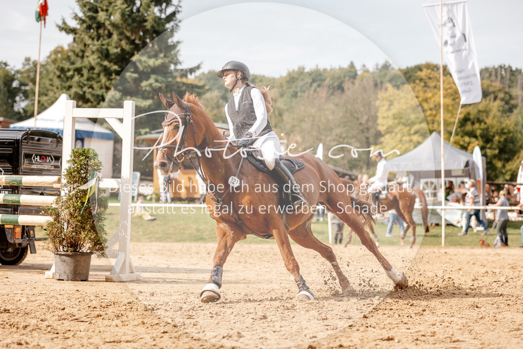 3I6A4594 | Stimmungsvolle Portraits und Reitsportfotografie im Ruhrgebiet und im Münsterland.

Pferdefotografie, Hundefotografie, Tierfotografie, Reportagen, Portraits von Tier und Mensch, Turnierfotografie in Bochum, Recklinghausen, Marl, Haltern am See, Dülmen.. - Realisiert mit Pictrs.com