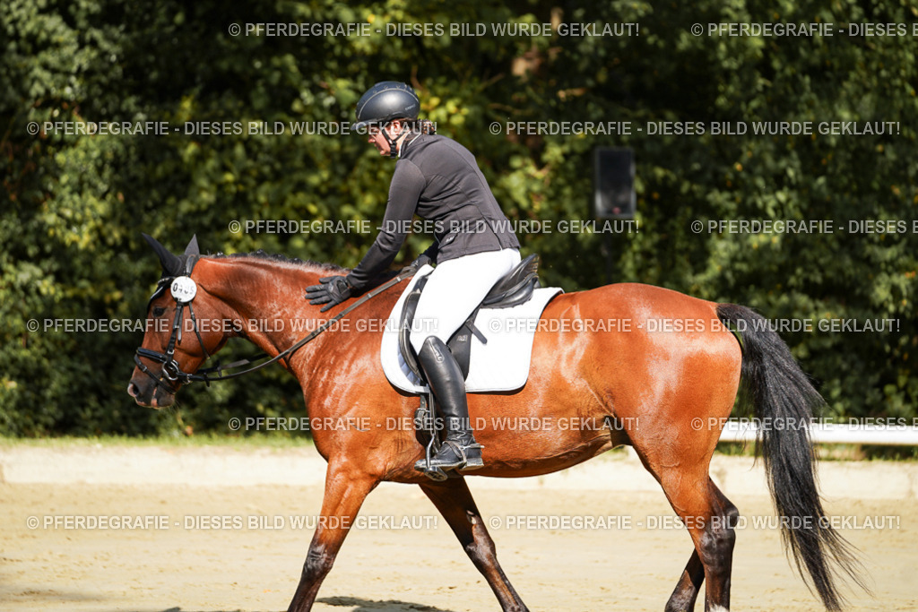 DSC08425 | Pferdegrafie