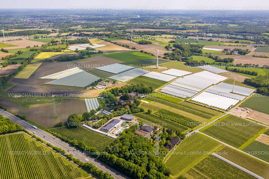 Bottrop230510050Kirchhellen | Luftbild, Erdbeerfelder mit Schutzfolie, Kirchhellen-Nord-Ost, Bottrop, Ruhrgebiet, Nordrhein-Westfalen, Deutschland