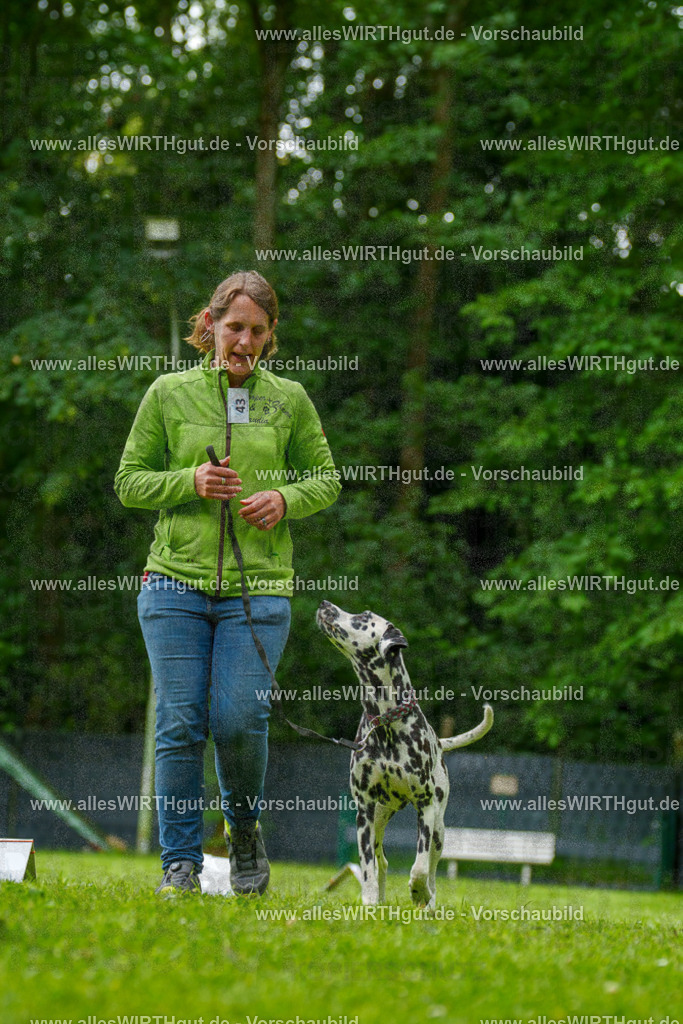 @allesWIRTHgut_Tierfotografie - www.allesWIRTHgut.de - 135124-7R500080 | Professionelle Tierfotografie in Mönchengladbach von Daniel Wirth (allesWIRTHgut). Liebevolle & natürliche Bilder von Hunden & Katzen für unvergessliche Erinnerungen.