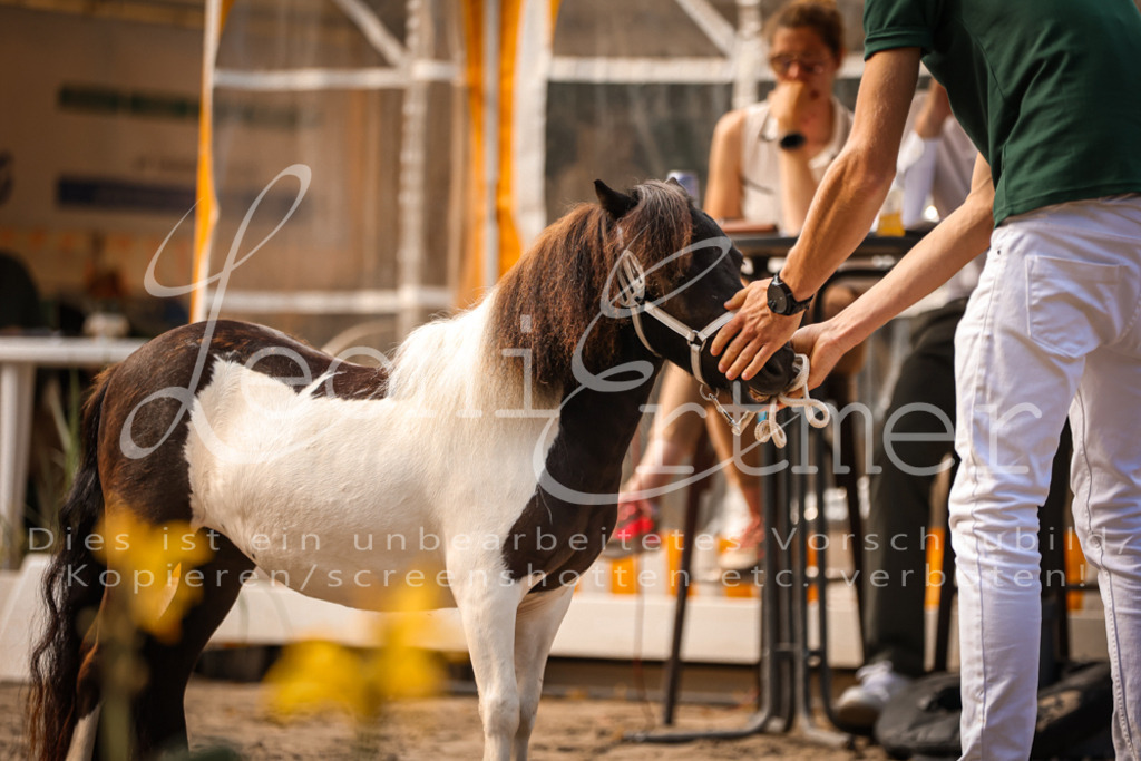 01.So00081 | Leoni Ertmer Photography - Realisiert mit Pictrs.com