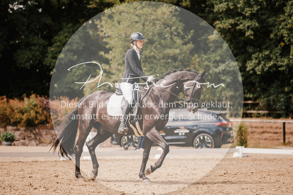 3I6A6072 | Stimmungsvolle Portraits und Reitsportfotografie im Ruhrgebiet und im Münsterland.

Pferdefotografie, Hundefotografie, Tierfotografie, Reportagen, Portraits von Tier und Mensch, Turnierfotografie in Bochum, Recklinghausen, Marl, Haltern am See, Dülmen.. - Realisiert mit Pictrs.com