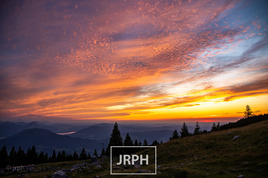 IMG_5688 | jrph - Realisiert mit Pictrs.com