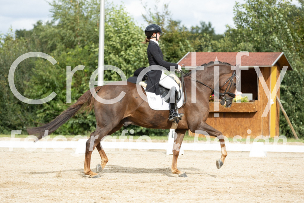 IMG_6909 | Creatify Fotografie